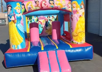Mechanical Bull Rental (13)