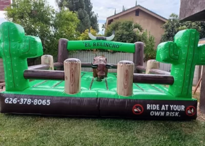 Mechanical Bull Rental (3)