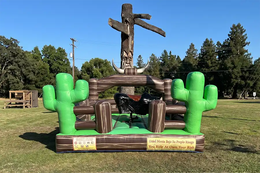 Birthday Party Rentals