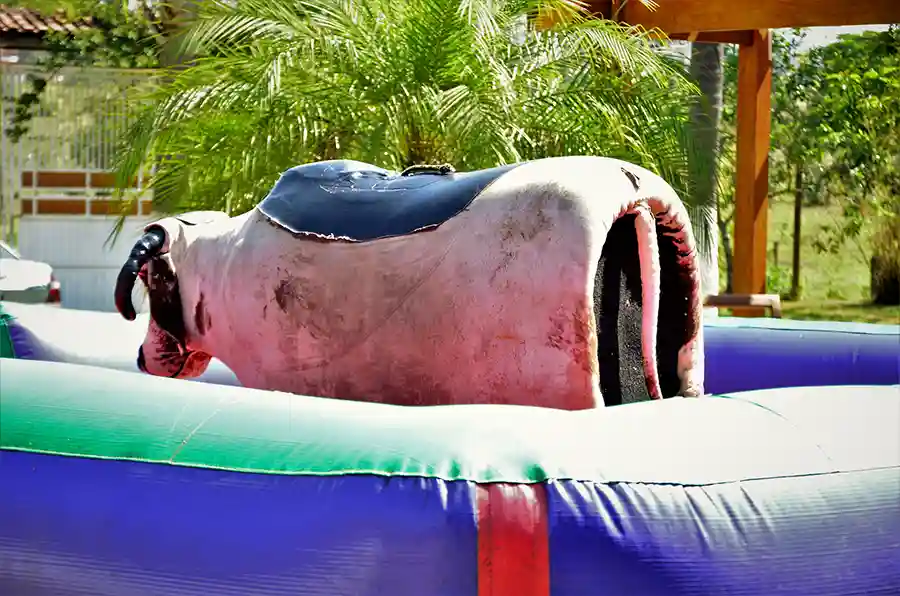 Excellent Mechanical Bull Rental Services in La Puente, CA Excellent Mechanical Bull Rental Services in La Puente, CA