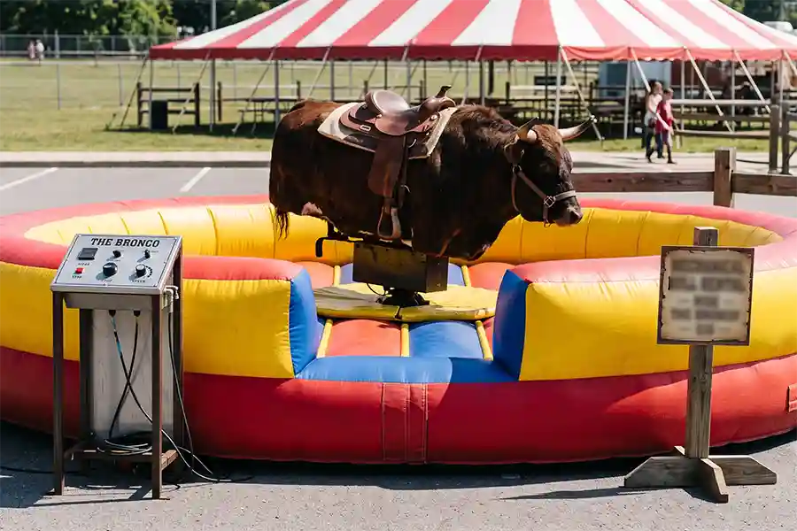 What to Expect When Renting a Mechanical Bull for a Party in La Puente, CA What to Expect When Renting a Mechanical Bull for a Party in La Puente, CA
